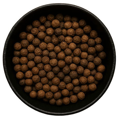  (Background Removed)