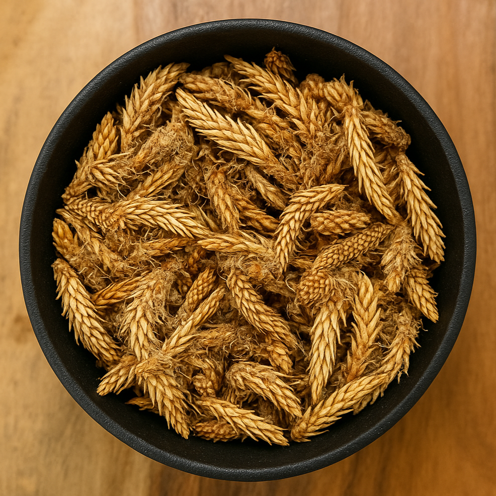 Pine Buds Whole (Pinus spp.)