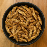 Pine Buds Whole (Pinus spp.)
