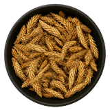  (Background Removed)