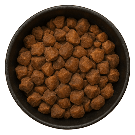  (Background Removed)