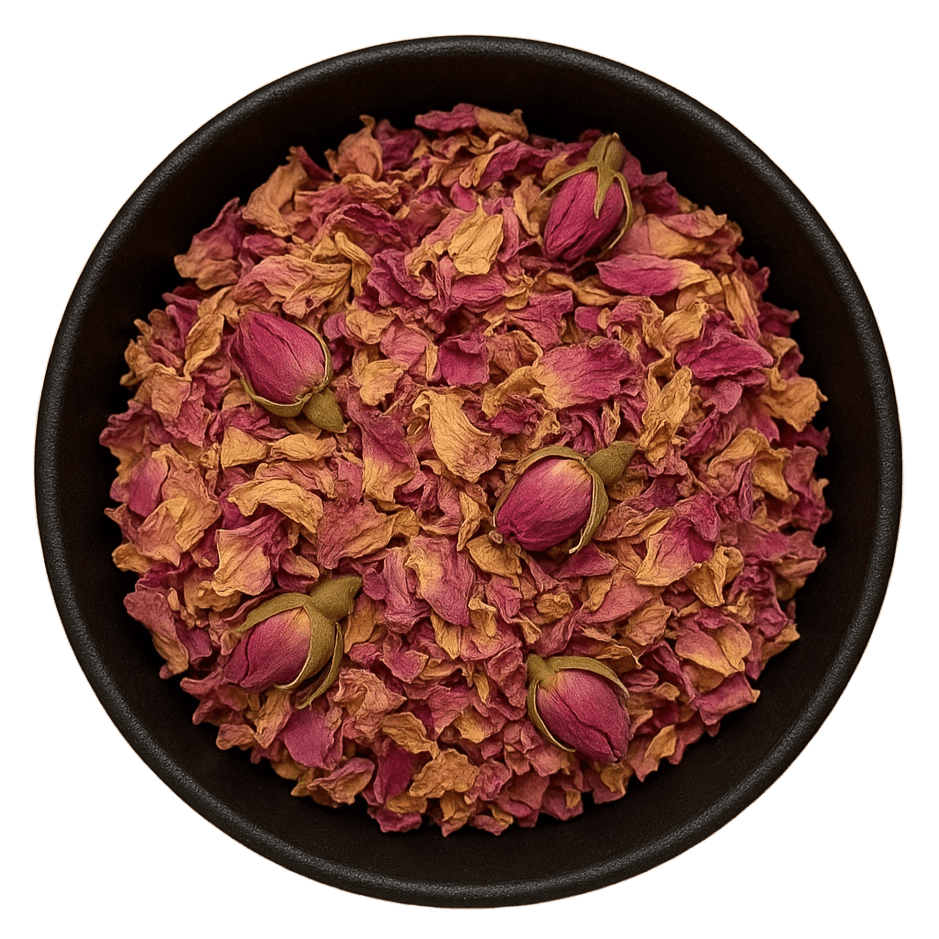  (Background Removed)