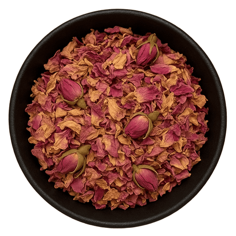  (Background Removed)