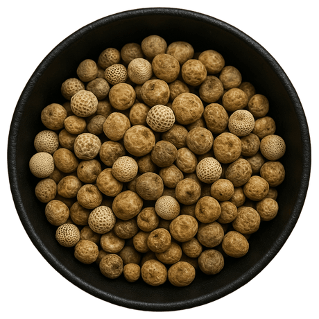  (Background Removed)