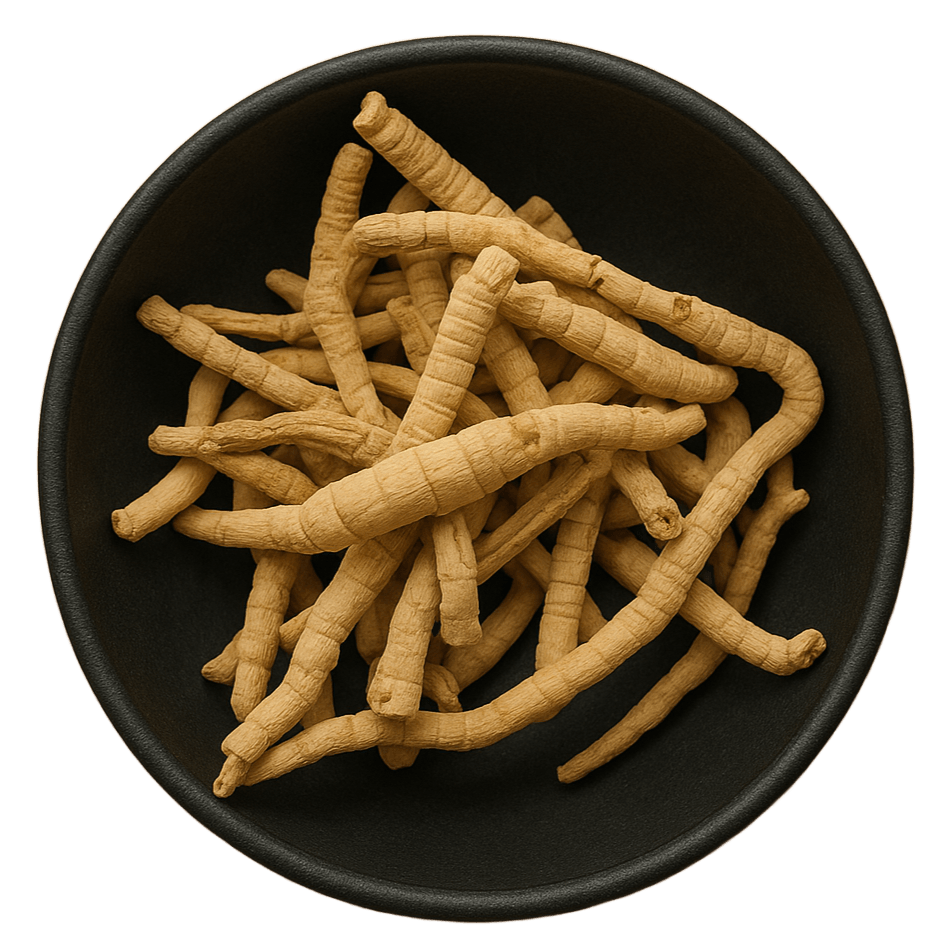  (Background Removed)