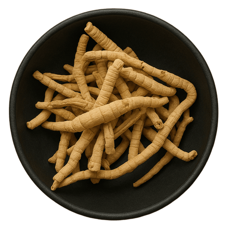  (Background Removed)