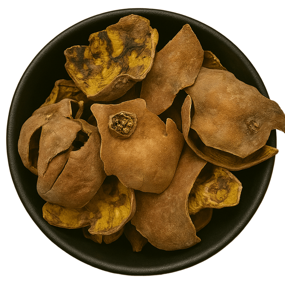  (Background Removed)