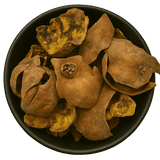  (Background Removed)