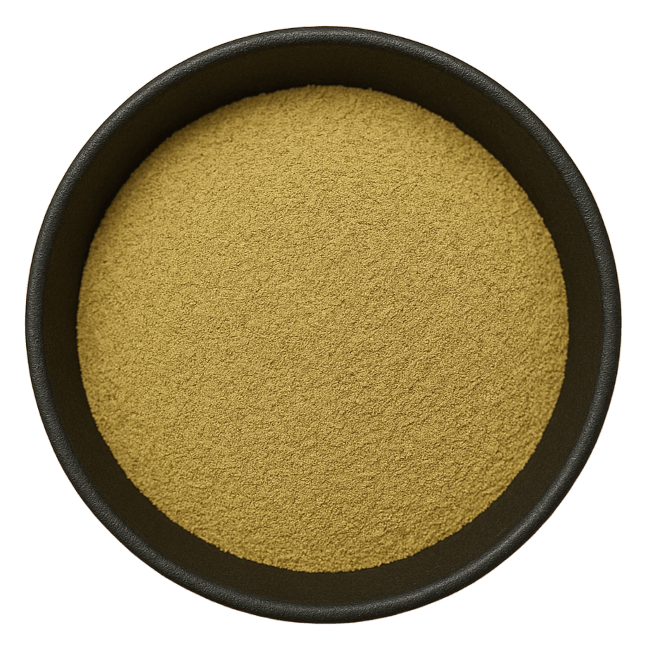  (Background Removed)