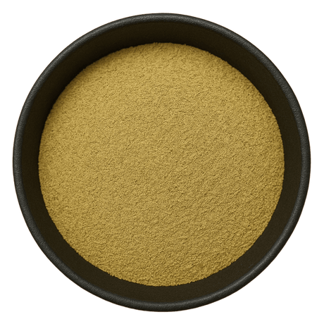  (Background Removed)