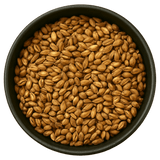  (Background Removed)