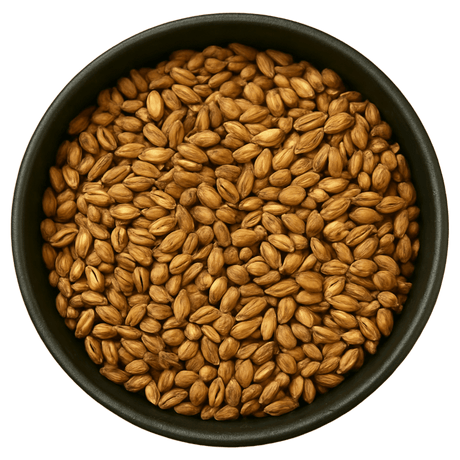  (Background Removed)