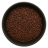  (Background Removed)