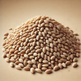 Psyllium Seeds Whole (Plantago Ovata)
