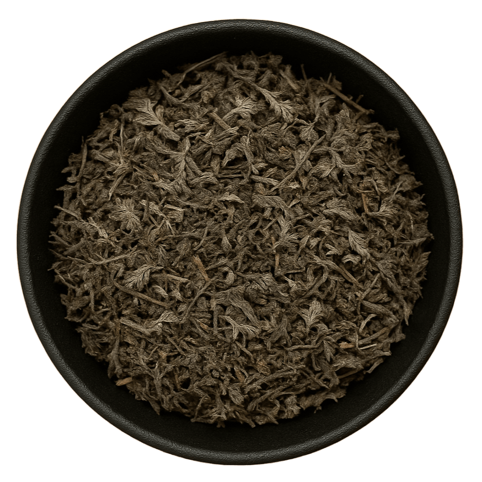  (Background Removed)