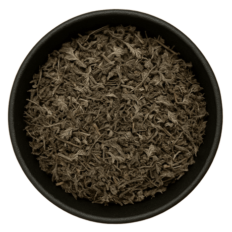  (Background Removed)