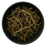  (Background Removed)