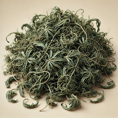 Purslane Herb Cut (Portulaca Oleracea)
