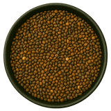  (Background Removed)