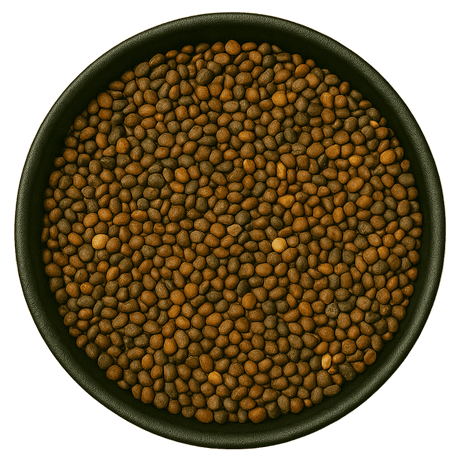  (Background Removed)