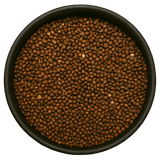  (Background Removed)