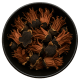  (Background Removed)