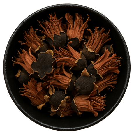  (Background Removed)