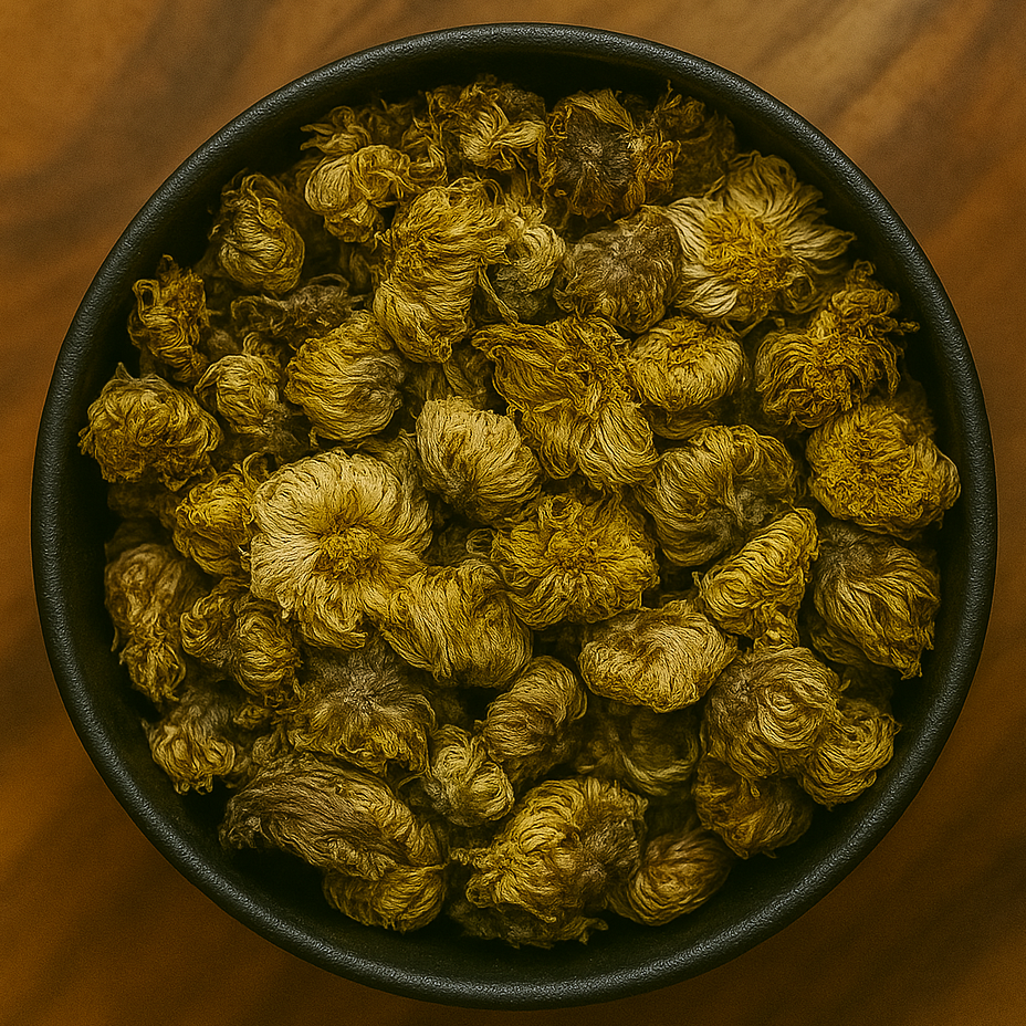 Resurrection Plant Whole (Selaginella Involvens)