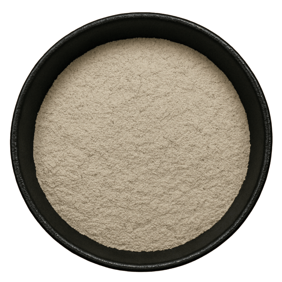  (Background Removed)