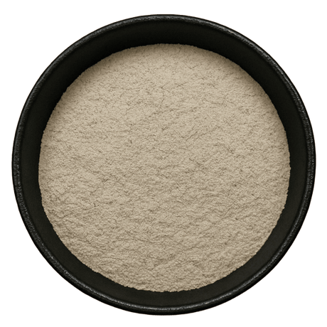  (Background Removed)