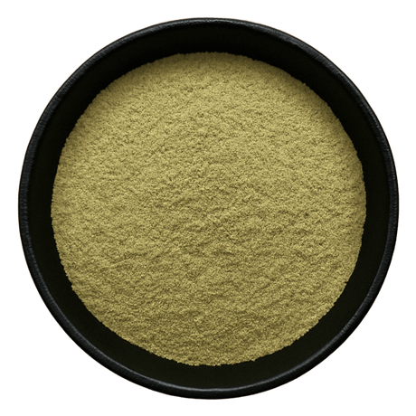  (Background Removed)