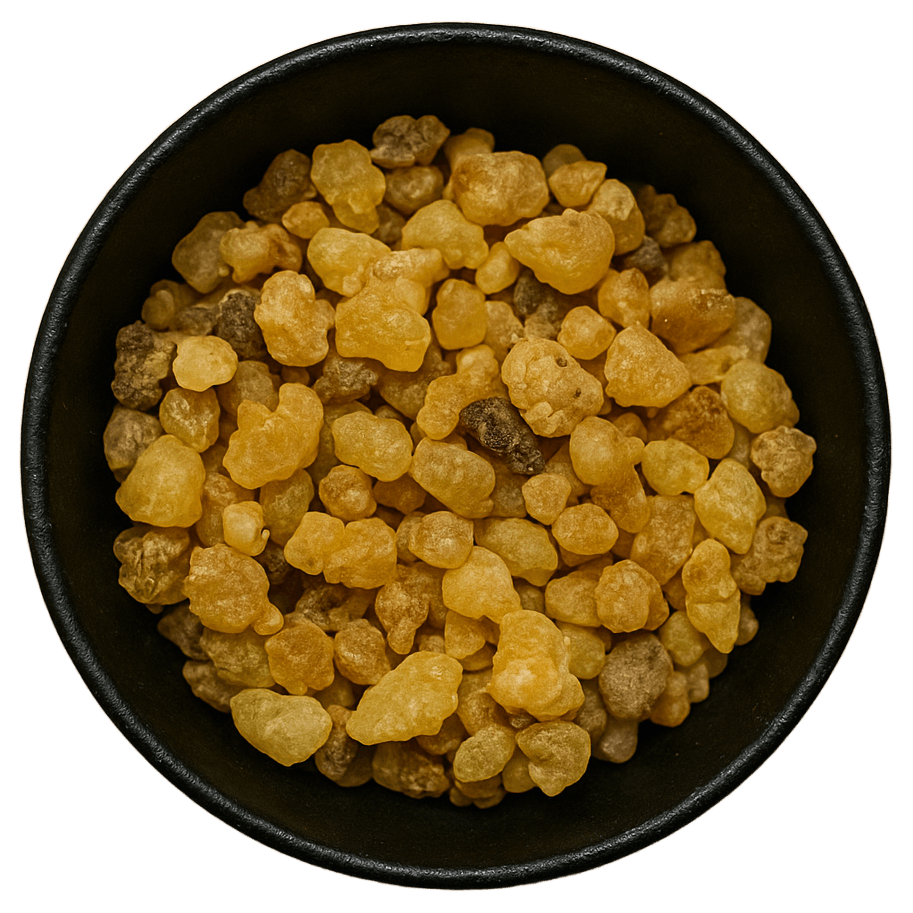  (Background Removed)