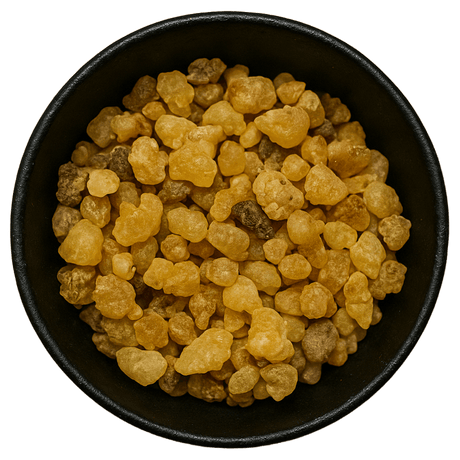  (Background Removed)