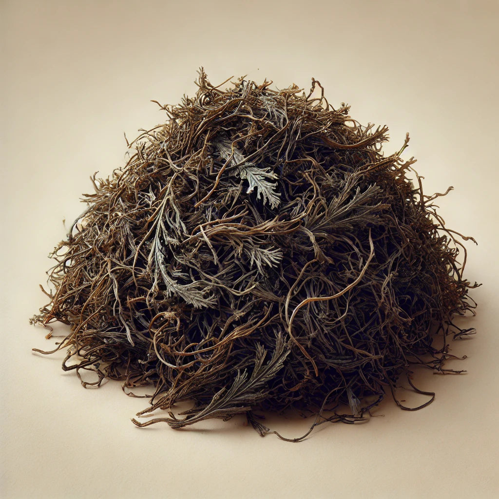 Seaweed Whole (Sargassum Spp.)