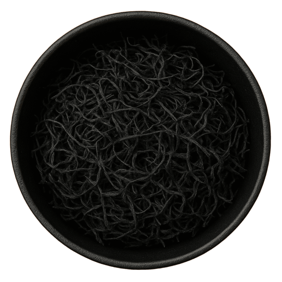  (Background Removed)