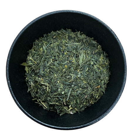 Sencha Green Tea (Camellia sinensis)