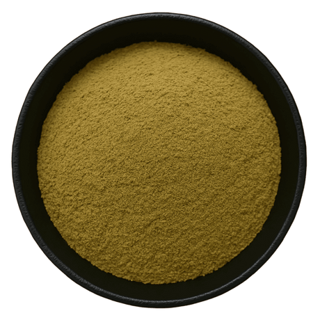  (Background Removed)