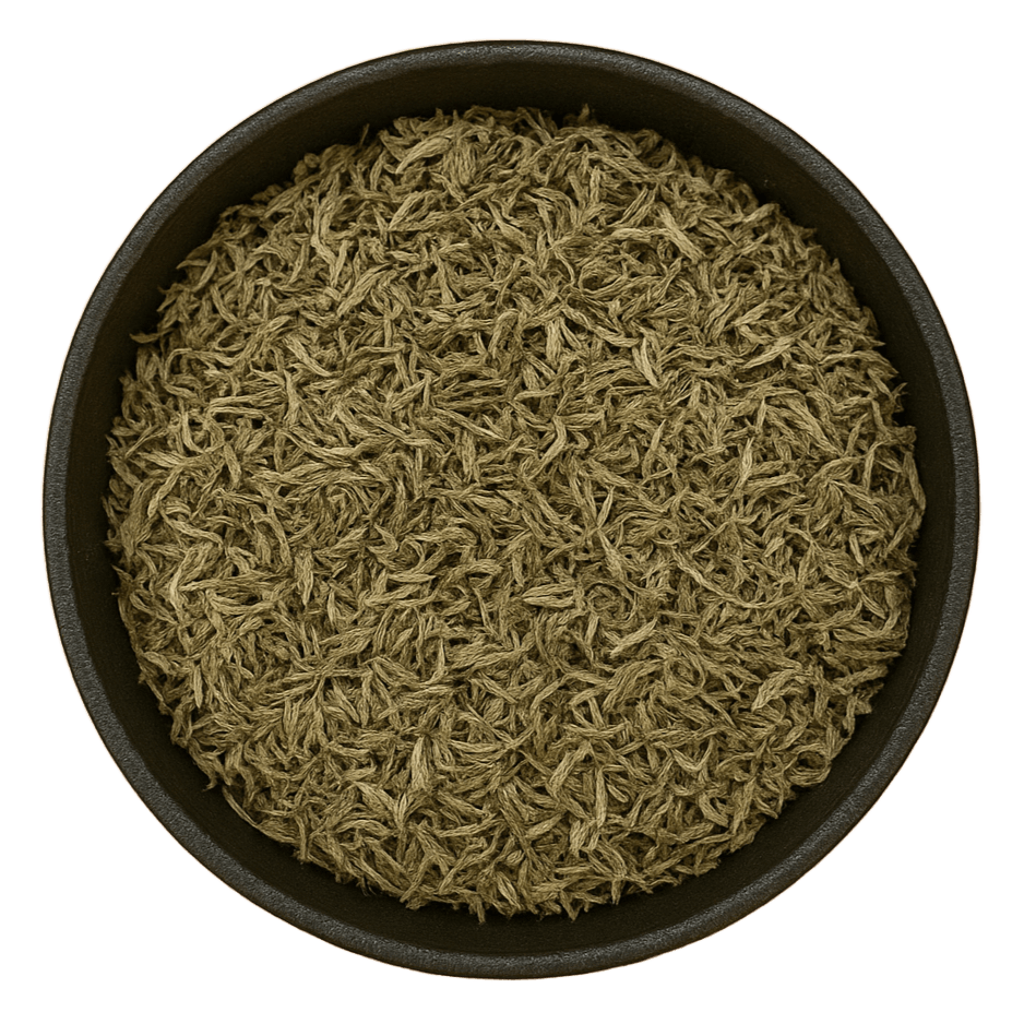  (Background Removed)