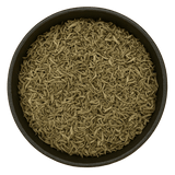  (Background Removed)