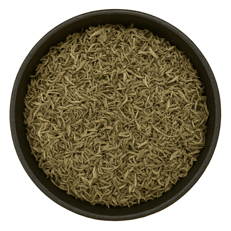  (Background Removed)