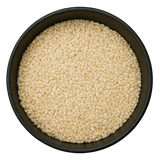  (Background Removed)