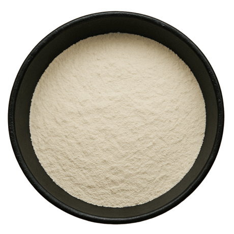  (Background Removed)