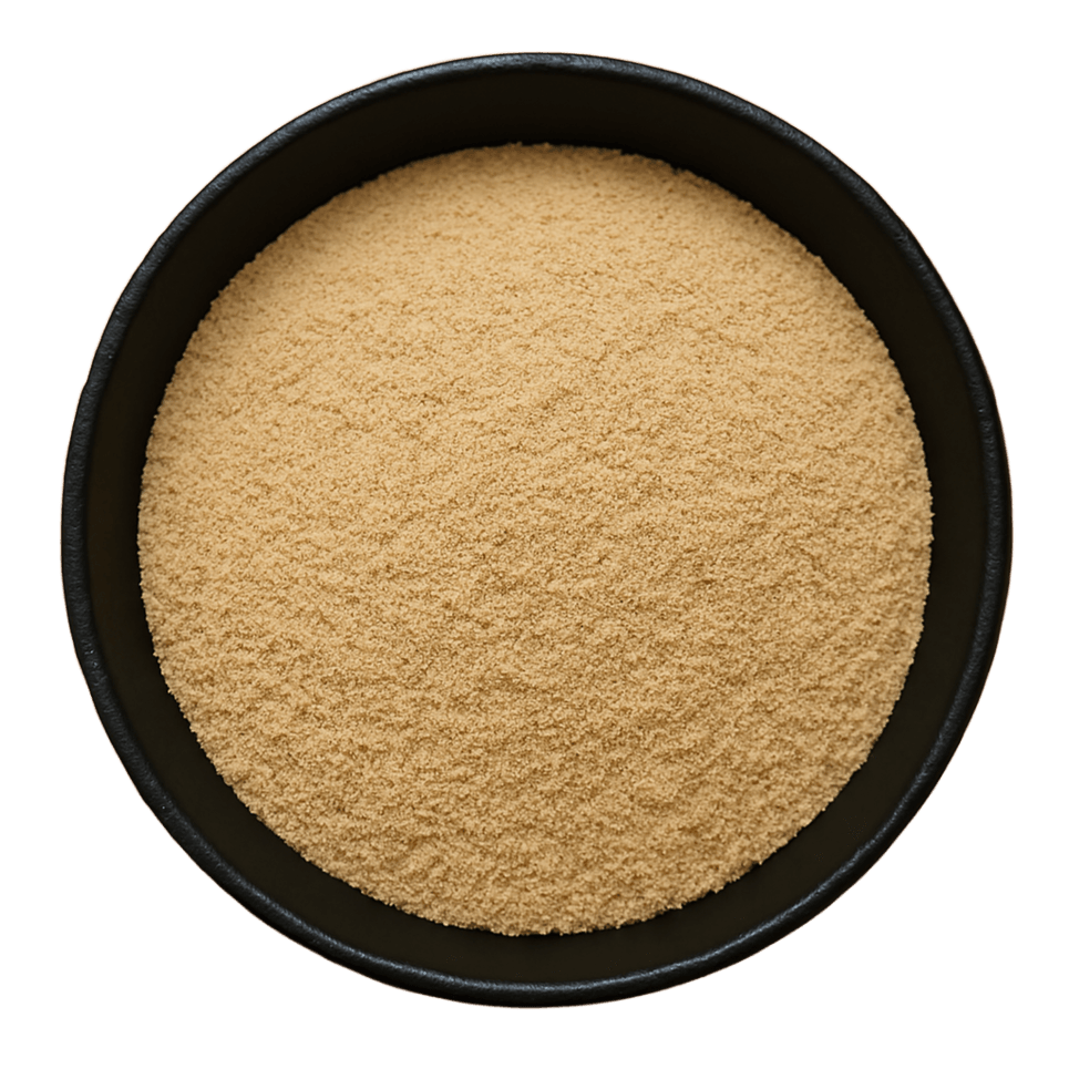  (Background Removed)