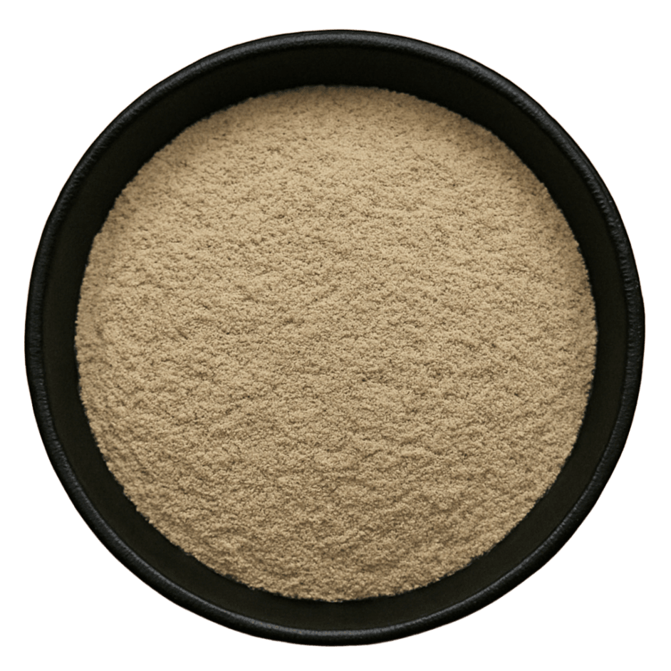  (Background Removed)