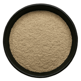  (Background Removed)