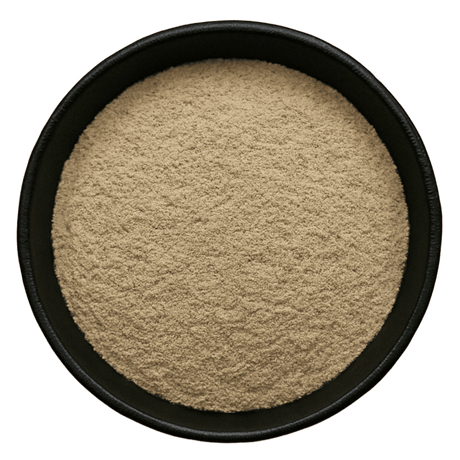  (Background Removed)