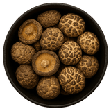  (Background Removed)