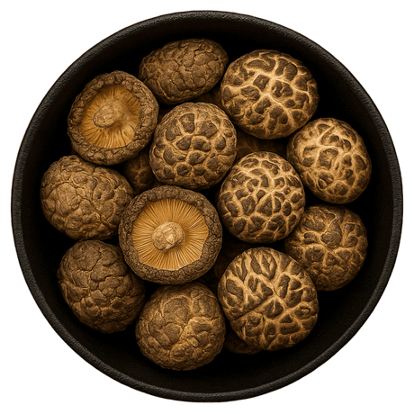  (Background Removed)