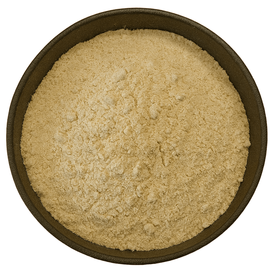  (Background Removed)