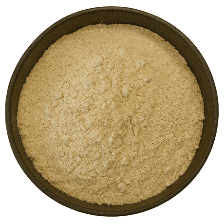  (Background Removed)